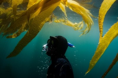 Macro Oceans © VAWiley Getty Images