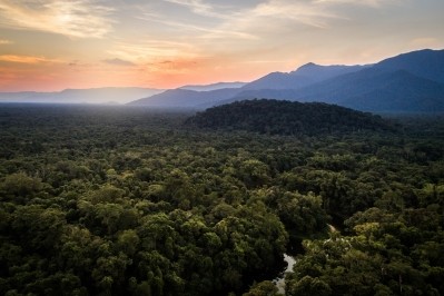 Apoena Biotech Green Amazon Expedition © FG Trade Getty Images