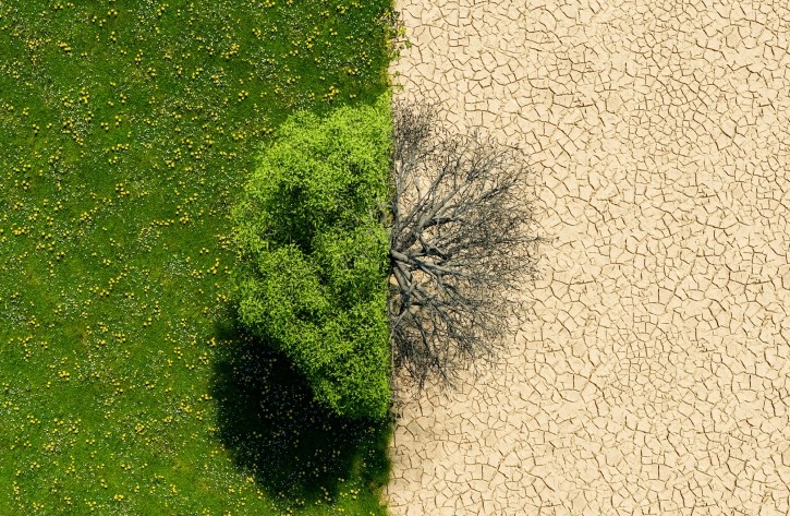 “Geoskincare is one of the main trends our teams identified as shapers of the cosmetic industry in 2024,” said Robin Cordier, Croda’s Digital and Communication Coordinator for Beauty Botanicals in a recent article published on the company's website. © AntonioSolano Getty Images